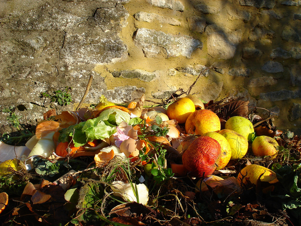 Closing The Loop: Challenges For The Future Food Waste Valorisation